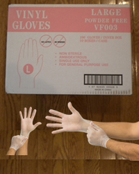 Vinyl Gloves Powder Free - Large